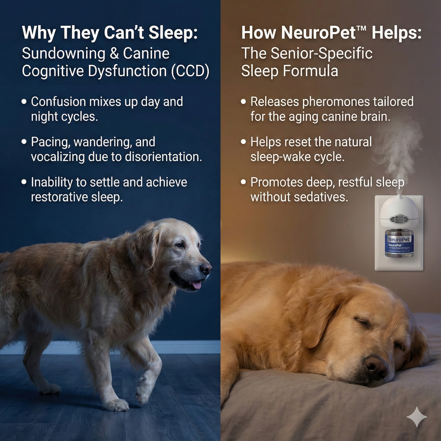 NeuroPet™